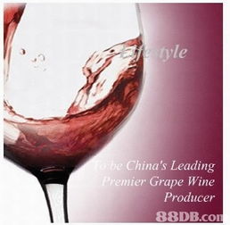本公司目前制造及銷售超過100種葡萄酒產品,產品可分為紅葡萄酒 白葡萄酒 起泡葡萄酒 冰酒 以及白蘭地五大類別